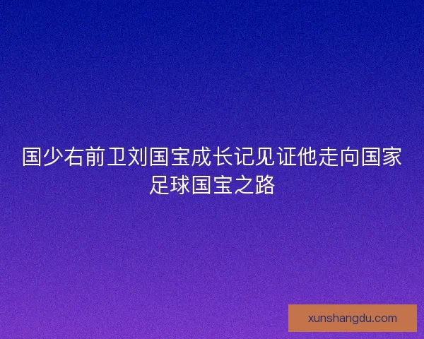 国少右前卫刘国宝成长记见证他走向国家足球国宝之路